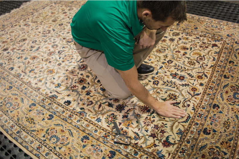 chemdry technician inspecting rug